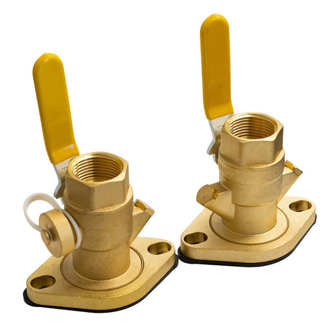 Calefactio PF100N 1'' FNPT Dielectric Pump Flange Valve (Pair) with pressure gauge port - back